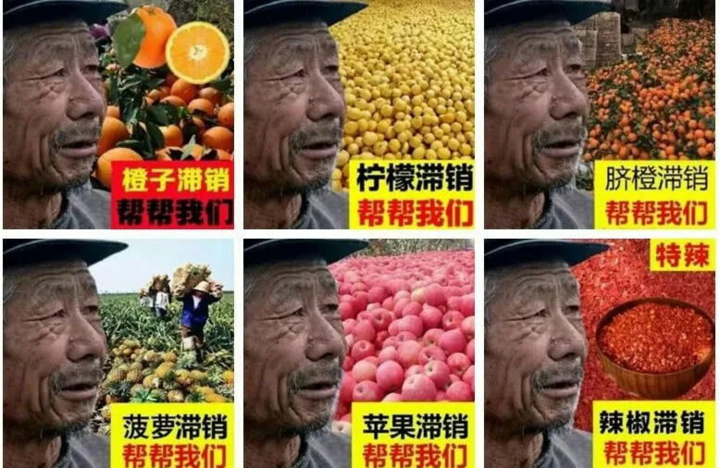 狗庄怎么一个项目割你四次【芒果寓言篇】