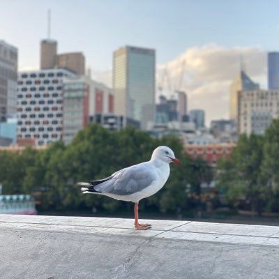 【Web3 奏折】01-28 2026