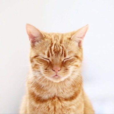 【AI 奏折】01-20 2026