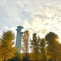 【AI 奏折】08月03日