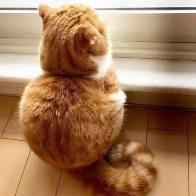 【Web3 奏折】08月04日